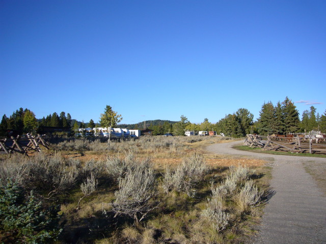 img0031.jpg