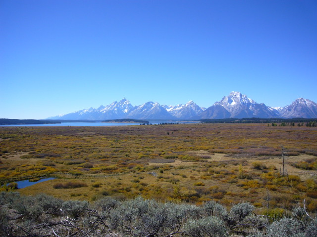 img0060.jpg