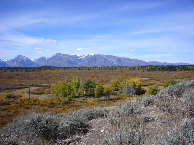 img0109.jpg