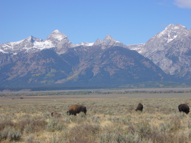 img0170.jpg