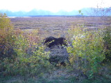 img0077.jpg