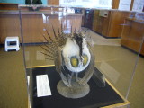 img0156.jpg
