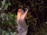 img0057.jpg