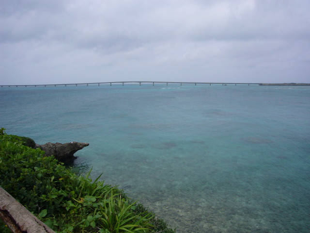 img0011.jpg